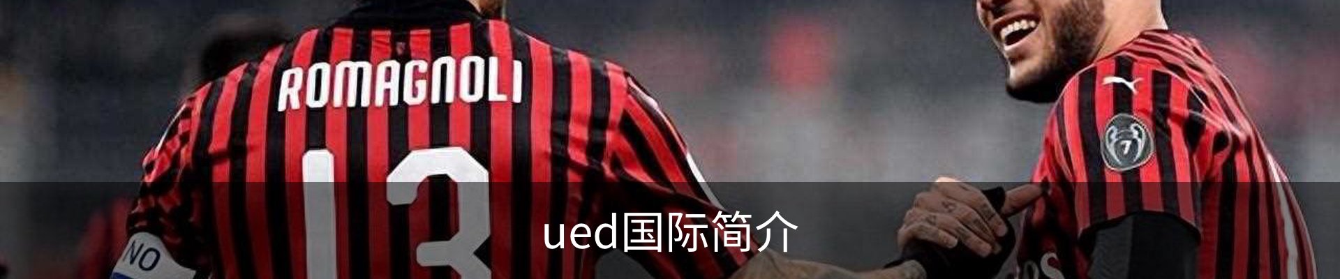 ued国际简介